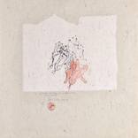 Collection Synesthesia