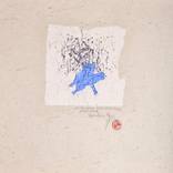 Collection Synesthesia