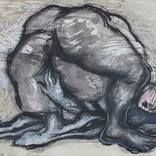 Collection Divine Acrobats