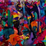 Melting Point by Orlanda Broom