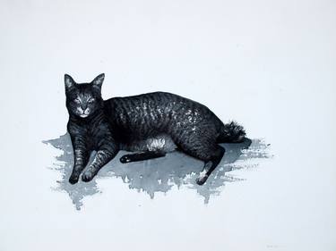 Original Fine Art Animal Paintings by Mark Boy Harris