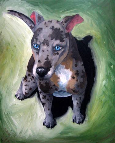 Original Portraiture Dogs Paintings by Jessica Pryor