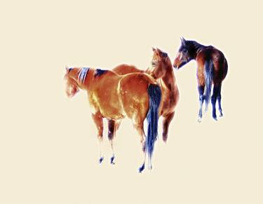 Original Impressionism Horse Photography by Lu Anne Tyrrell