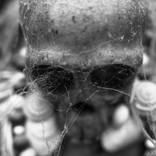 Belonging - mind - Limited Edition 2 of 100 by Sara Deasy
