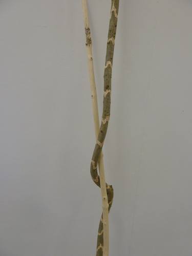 Original Folk Abstract Sculpture by Claire Ringrose