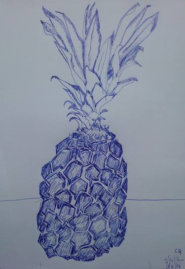 Original Botanic Drawings by Charles Gomila