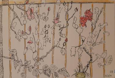 Original Garden Drawings by Charles Gomila