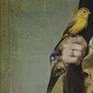 detail showing bird and applied texture which imparts an aged feel to the image.