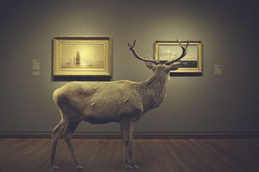 the anchored elk, large size - Limited Edition 1 of 5 thumb