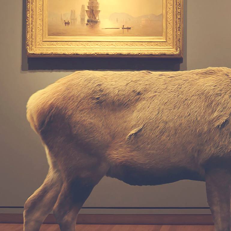 Original Conceptual Animal Photography by Elle Hanley