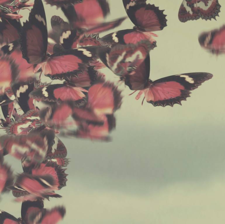 Original Conceptual Women Photography by Elle Hanley