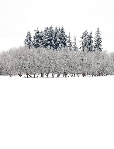 Print of Fine Art Science Photography by Doug McIntosh