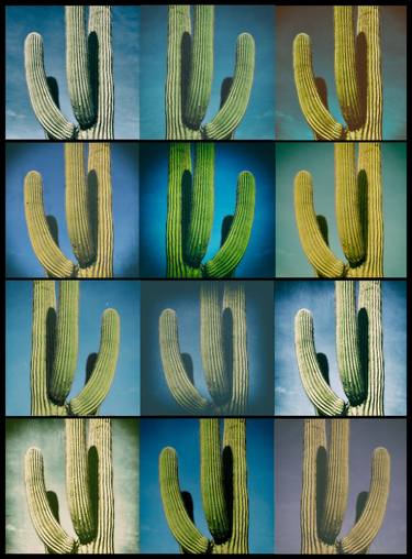 Print of Botanic Photography by Doug McIntosh