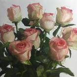 Bouquet de roses by Amélie Olivier
