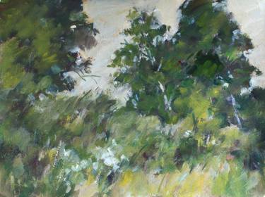 Original Landscape Paintings by Owen Hunt