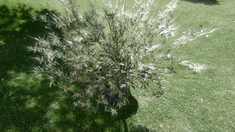 Original Conceptual Abstract Mixed Media by Otto Stadler