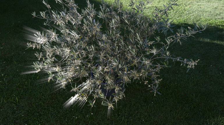 Original Conceptual Abstract Mixed Media by Otto Stadler