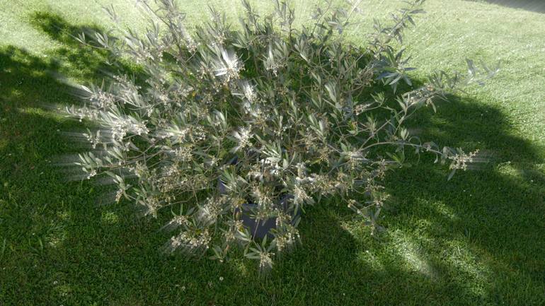 Original Conceptual Abstract Mixed Media by Otto Stadler