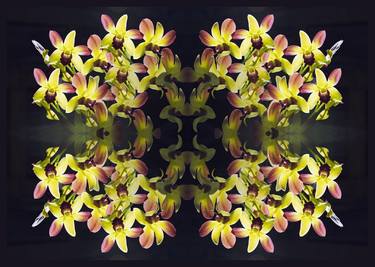 Print of Fine Art Floral Photography by Otto Stadler