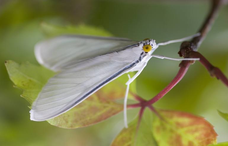 Print of Nature Photography by Chico Sanchez