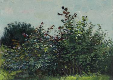 Original Botanic Paintings by Simon Kojin