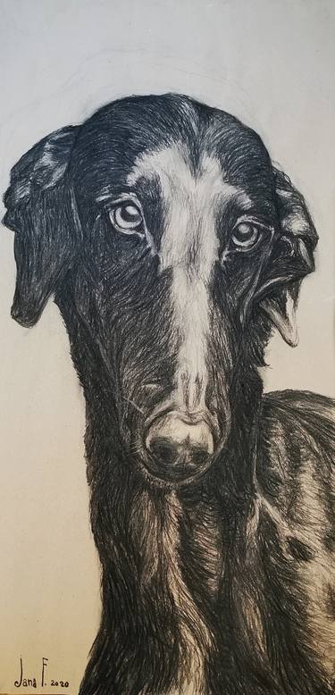Portrait of a dog. thumb