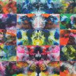 Editions of You   (Roxy Music) by Bernie Wallett