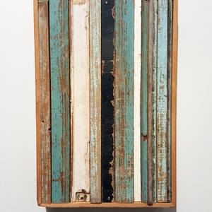 Collection Rodney Haas