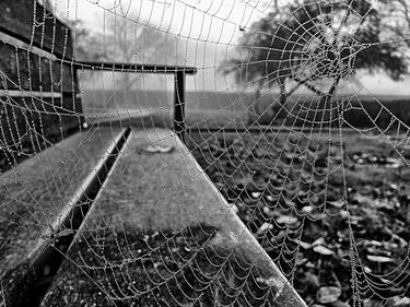 Print of Rural life Photography by Maarten Van de Voort