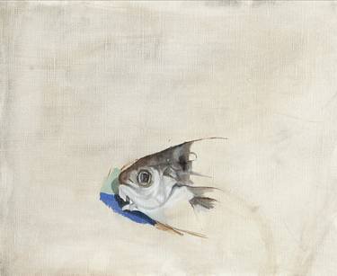 Print of Realism Fish Paintings by Allison Plastridge