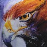 Determination by Grace Bailey