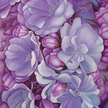 Collection Color Story: Royal Purple