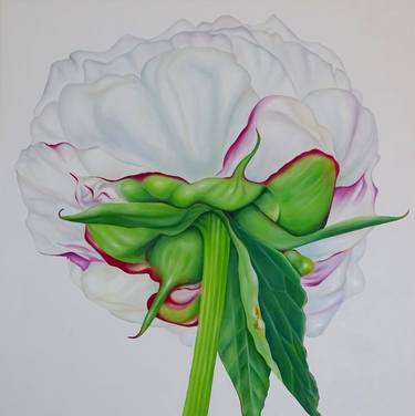 Original Figurative Floral Paintings by Filiberto Montesinos Castañon