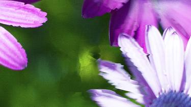 Original Impressionism Botanic Digital by Panos Pliassas