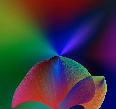 Rainbow flower - 7030-1 thumb