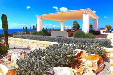 Original Contemporary Garden Photography by Panos Pliassas