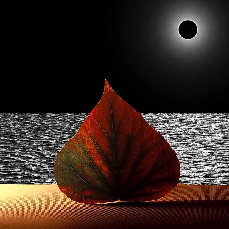 Original Black & White Nature Digital by Panos Pliassas