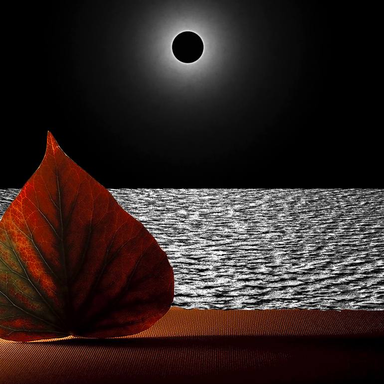 Original Black & White Nature Digital by Panos Pliassas