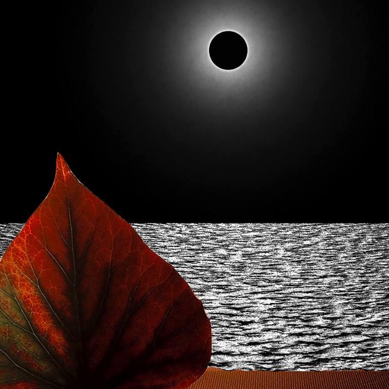 Original Black & White Nature Digital by Panos Pliassas