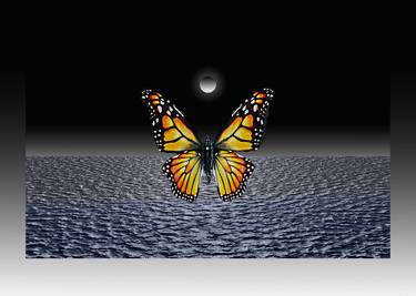 Original Conceptual Nature Digital by Panos Pliassas