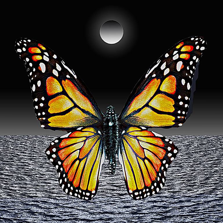 Original Conceptual Nature Digital by Panos Pliassas