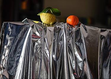 Original Conceptual Still Life Photography by Panos Pliassas