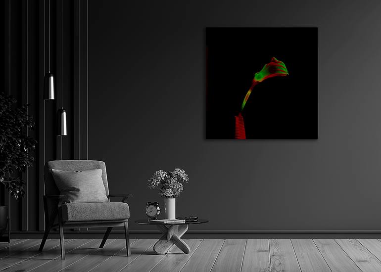 Original Minimalism Botanic Photography by Panos Pliassas