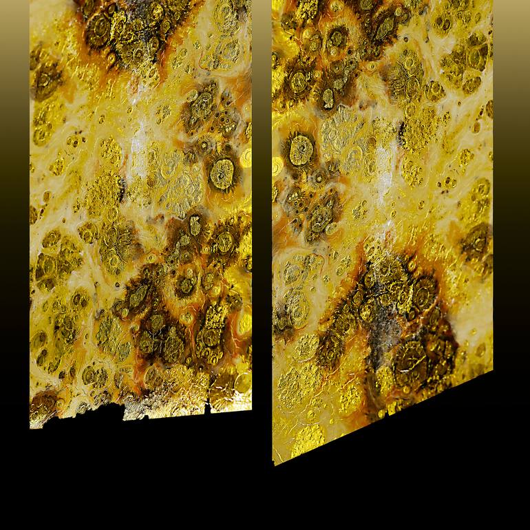 Original Abstract Still Life Photography by Panos Pliassas