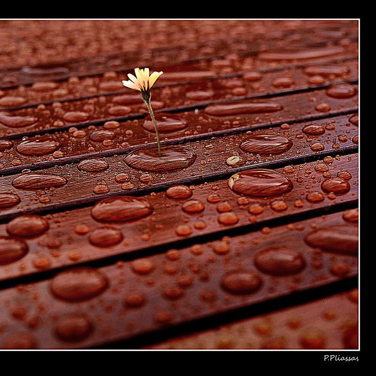 Original Illustration Other Digital by Panos Pliassas