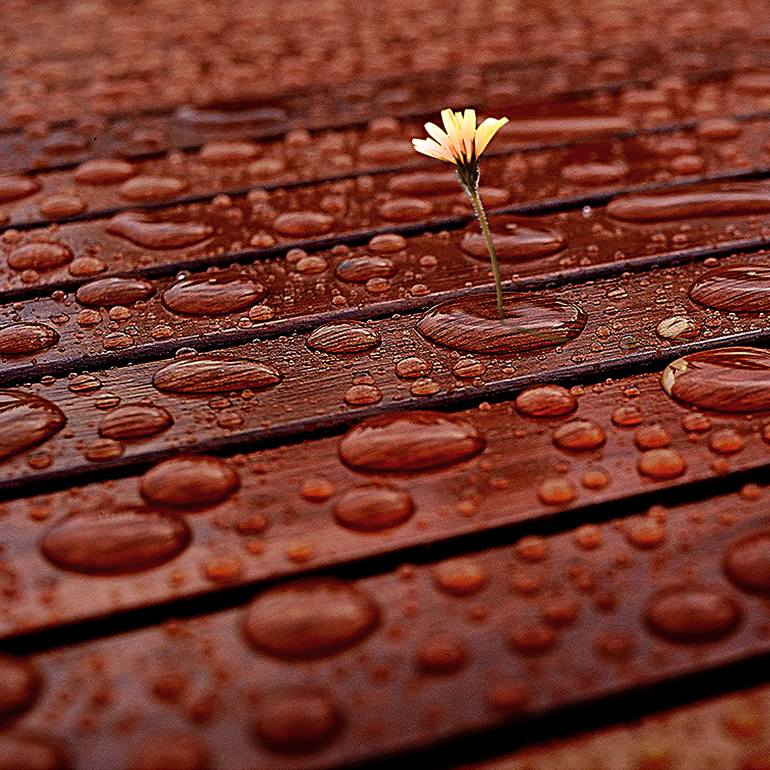 Original Illustration Other Digital by Panos Pliassas