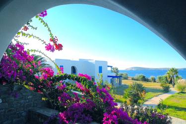 Original Modern Garden Photography by Panos Pliassas