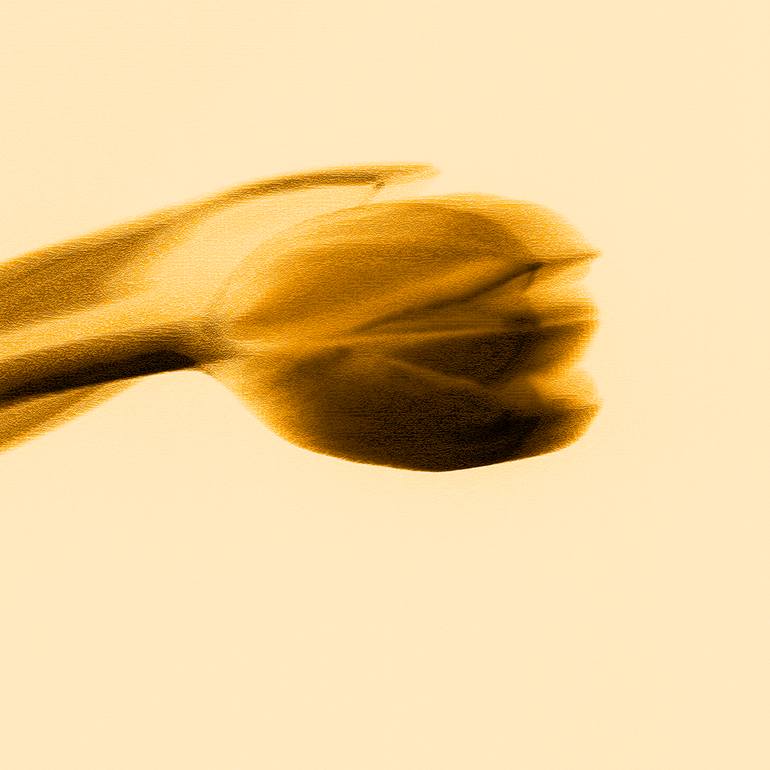 Original Abstract Other Digital by Panos Pliassas