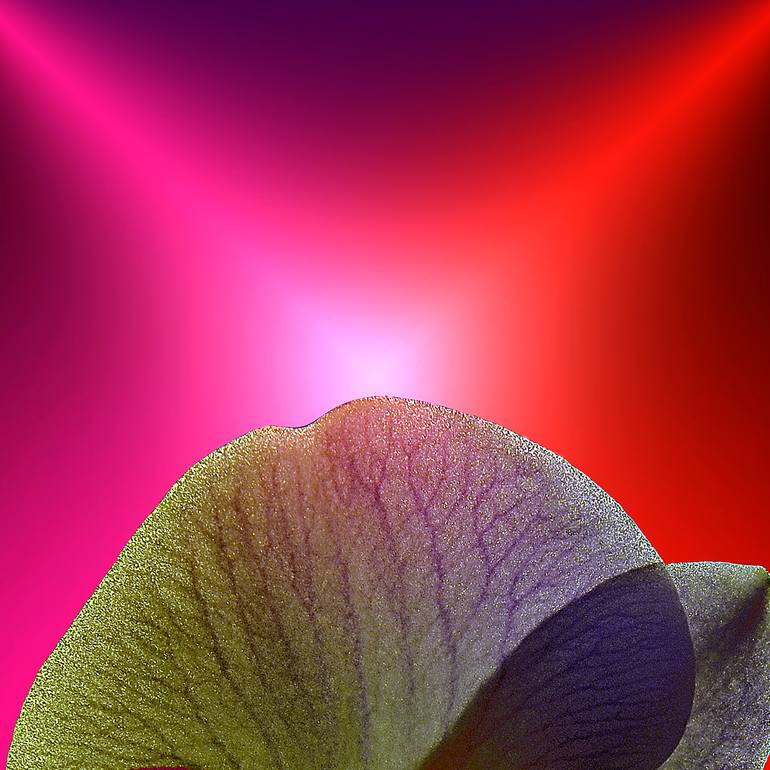 Original Conceptual Abstract Digital by Panos Pliassas