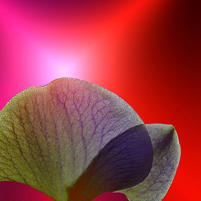 Original Conceptual Abstract Digital by Panos Pliassas